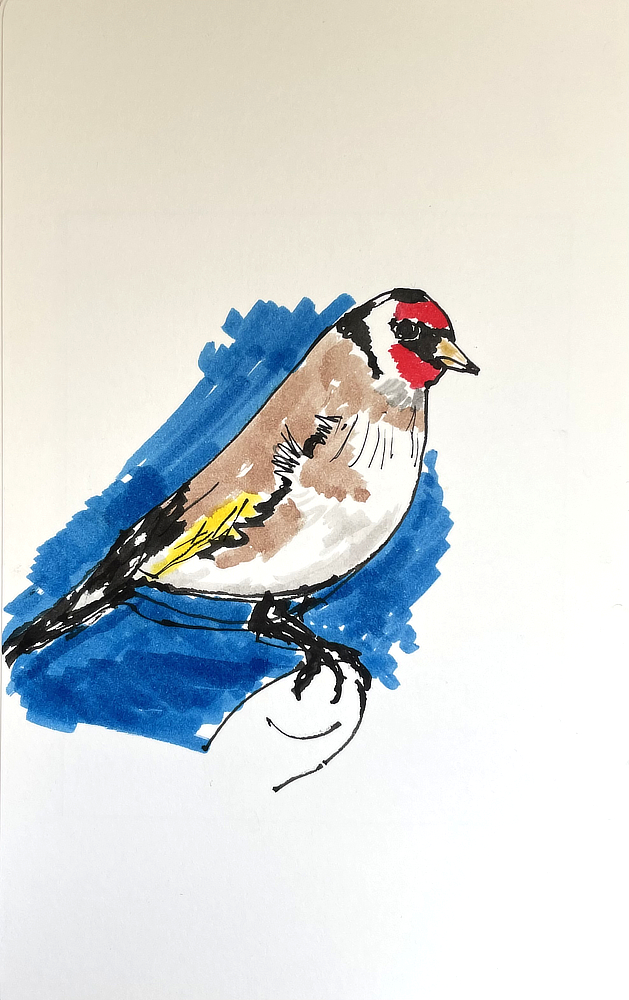 goldfinch