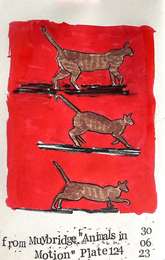 Muybridge