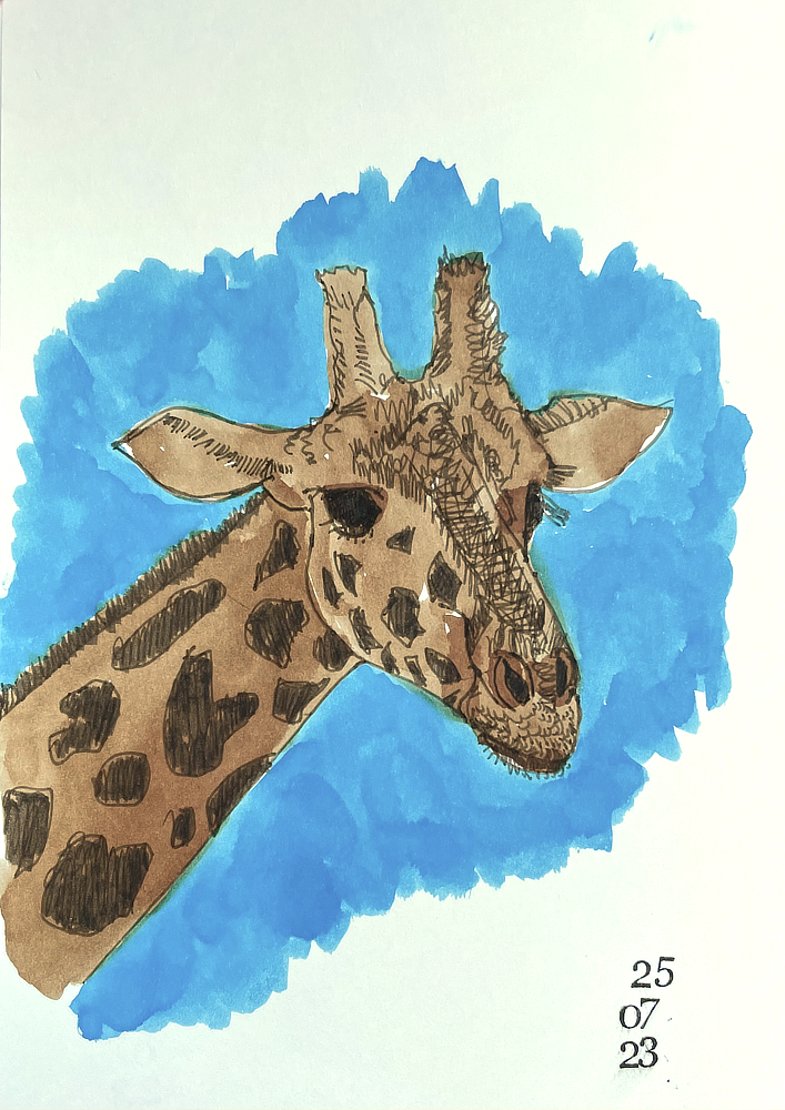 giraffe