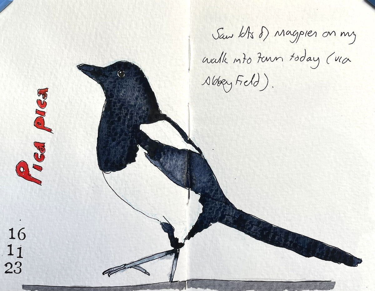magpie