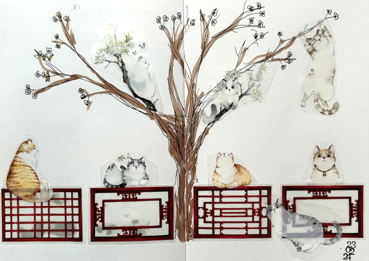 Chinese cats