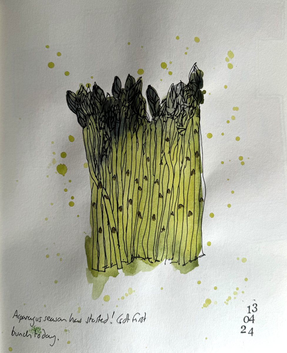 asparagus