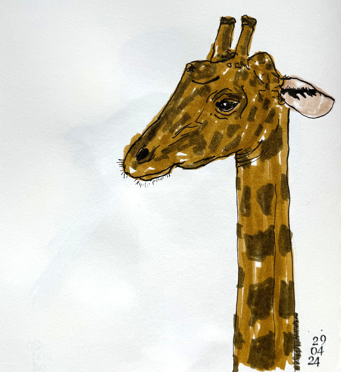 giraffe