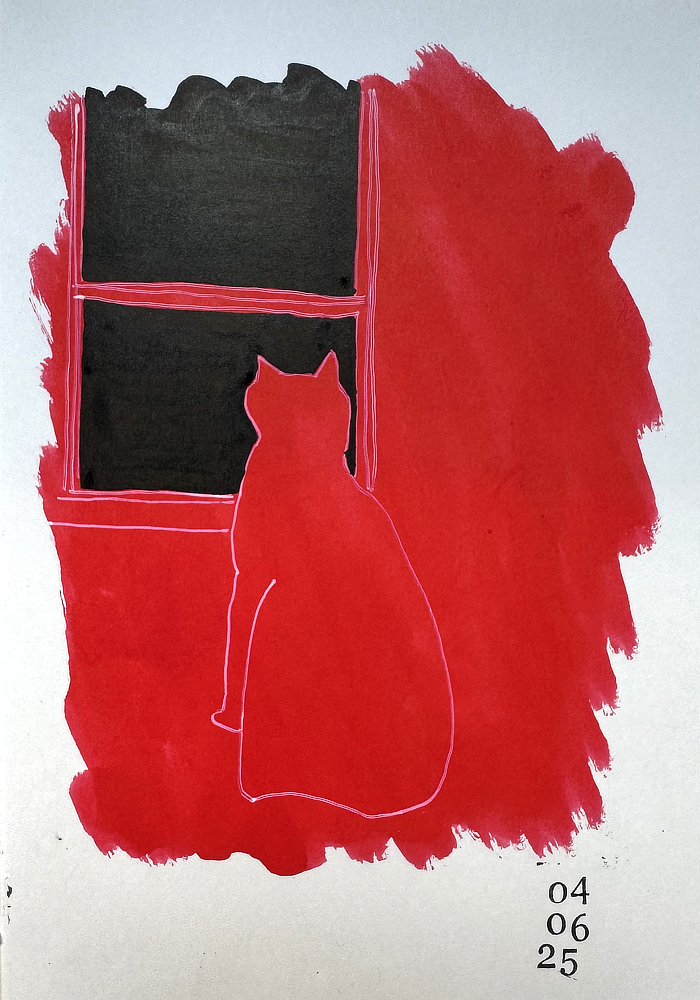 red cat