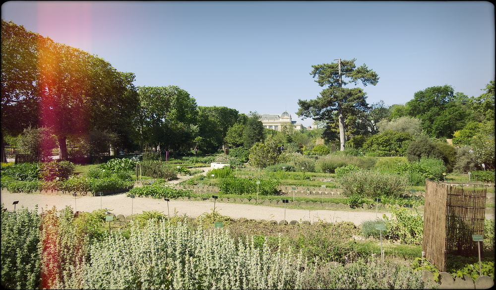 Jardin des Plantes, Paris