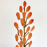 branch with orange leaves