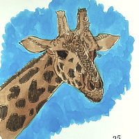 giraffe