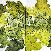 leaves